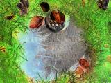 image of grave number 946937